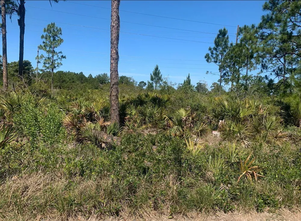 329 Phesant Boulevard Sebring, FL 33872