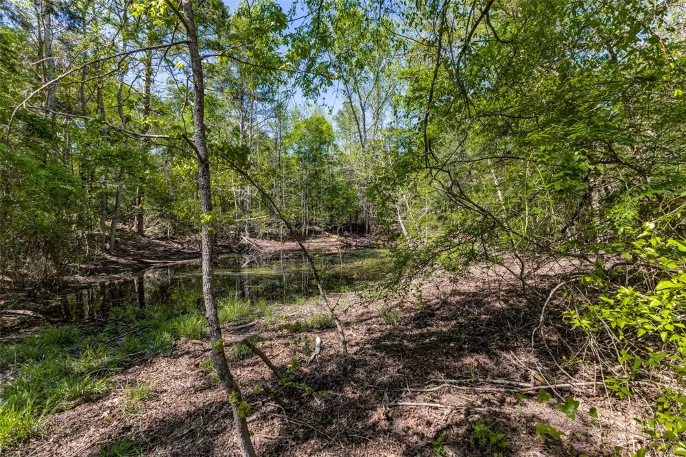 S FM 14 Hawkins, TX 75773