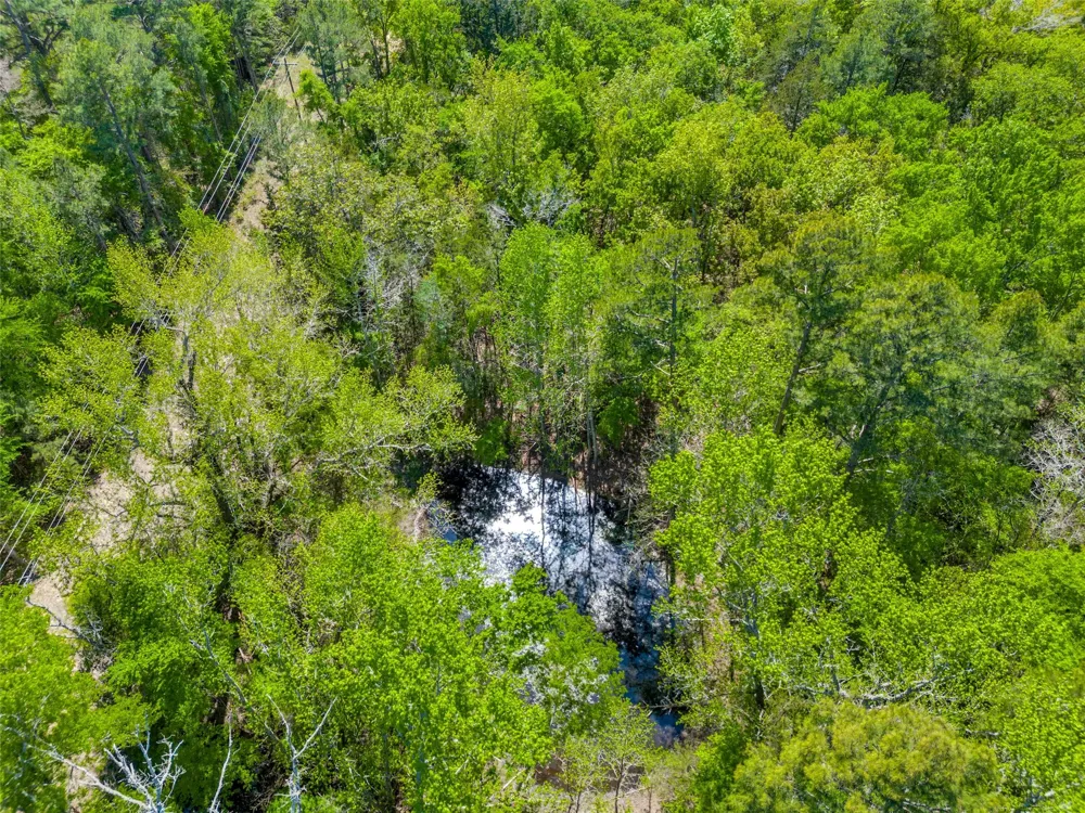 S FM 14 Hawkins, TX 75773