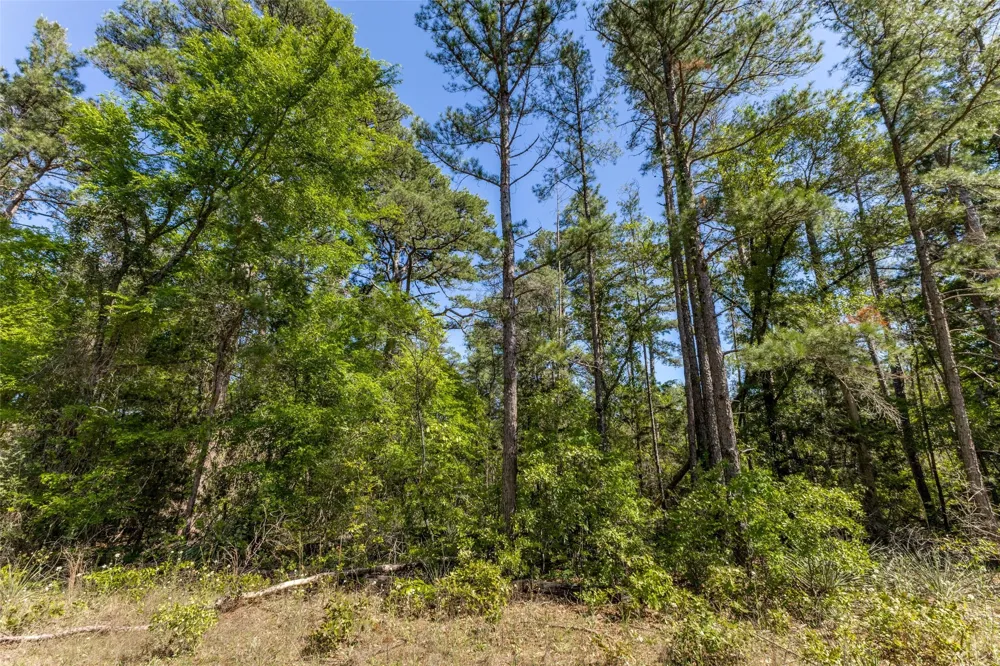 S FM 14 Hawkins, TX 75773