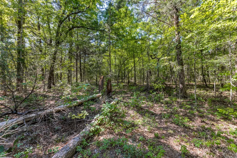 S FM 14 Hawkins, TX 75773