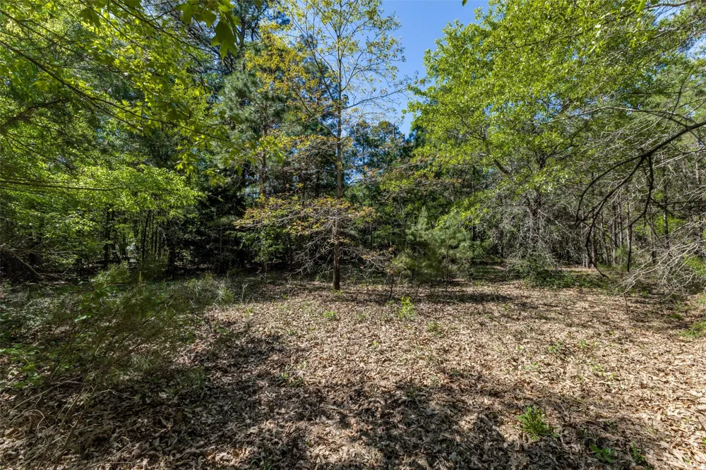 S FM 14 Hawkins, TX 75773
