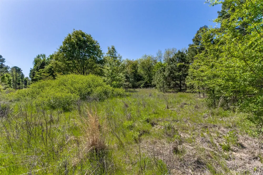 S FM 14 Hawkins, TX 75773
