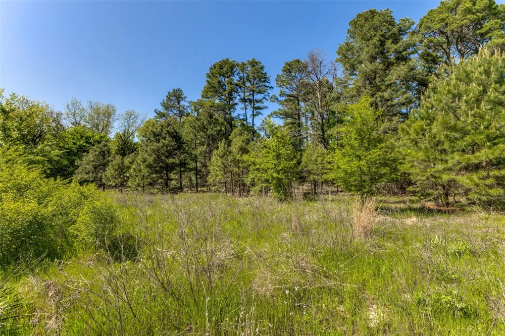 S FM 14 Hawkins, TX 75773