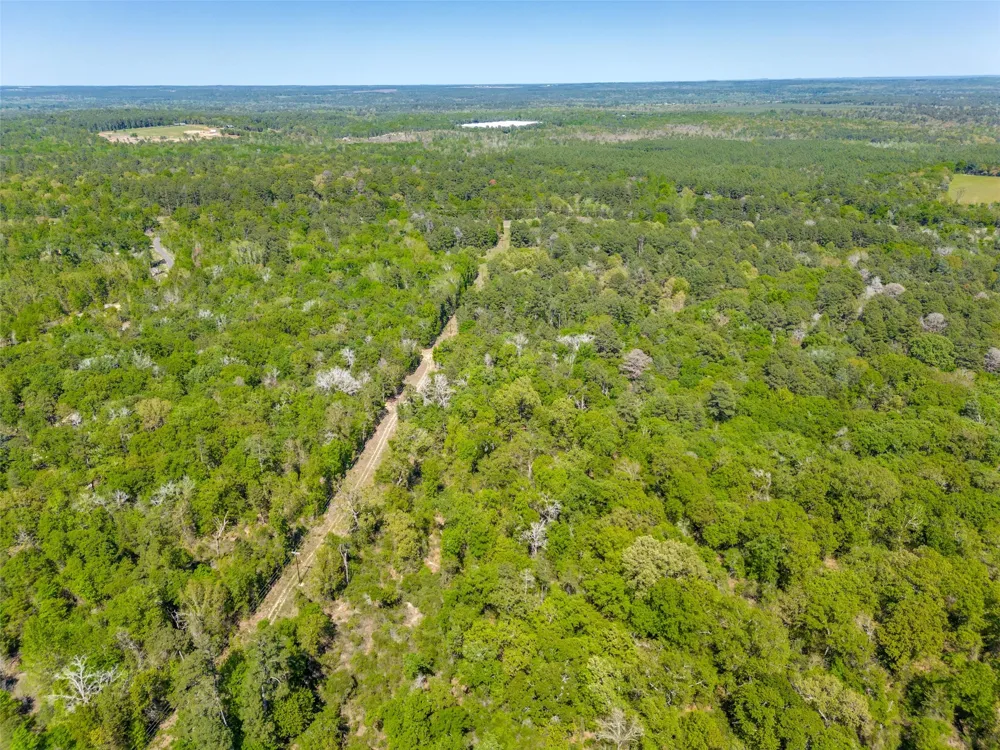 S FM 14 Hawkins, TX 75773