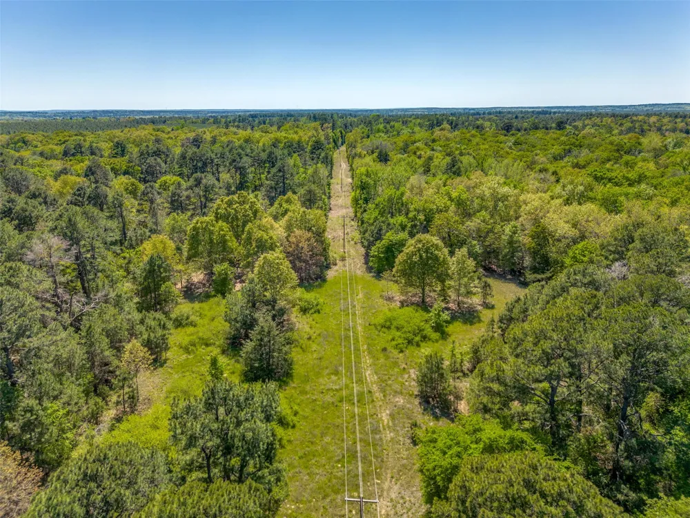 S FM 14 Hawkins, TX 75773
