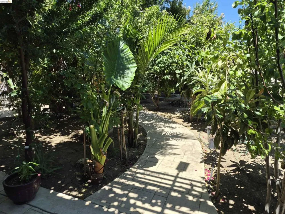 149 Oakpoint Ct Bay Point, CA 94565