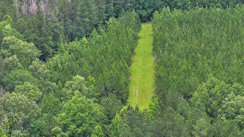 772 Mount Helm Road