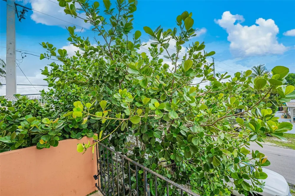 1100 W 35th St #23 Hialeah, FL 33012