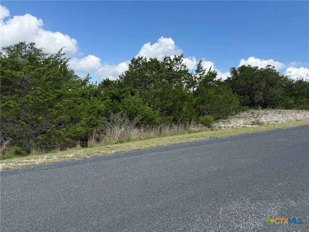 155 LIPIZZAN LANE Spring Branch, TX 78070