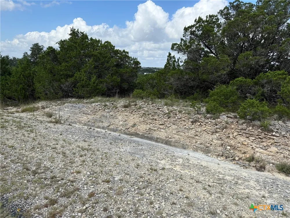155 LIPIZZAN LANE Spring Branch, TX 78070