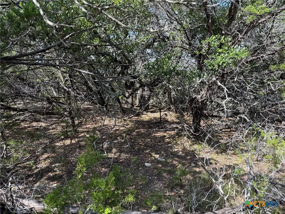 155 LIPIZZAN LANE Spring Branch, TX 78070