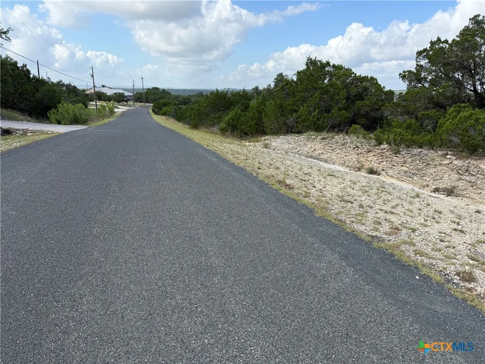 155 LIPIZZAN LANE Spring Branch, TX 78070