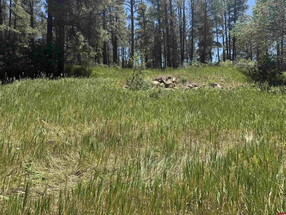 473 Alpine Forest Drive Bayfield, CO 81122