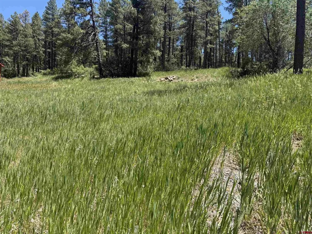 473 Alpine Forest Drive Bayfield, CO 81122