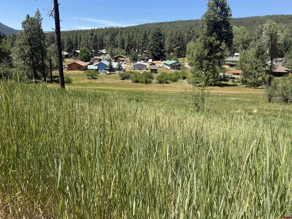 473 Alpine Forest Drive Bayfield, CO 81122