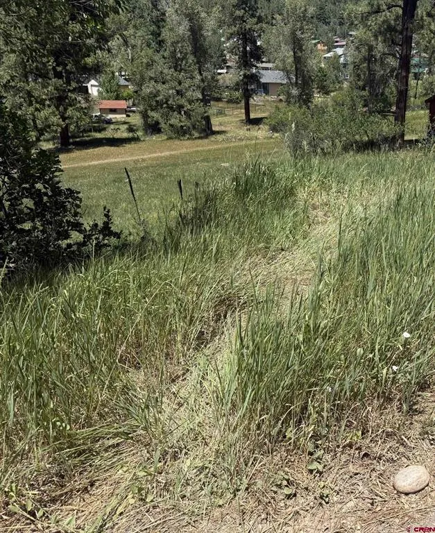 473 Alpine Forest Drive Bayfield, CO 81122