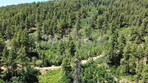 140 Jackalope Drive