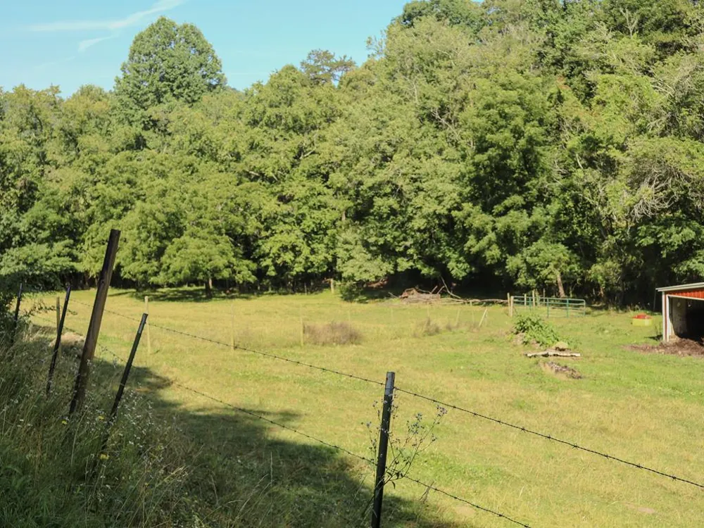 Long Branch Road Robbinsville, NC 28771