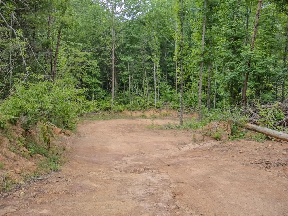 Long Branch Road Robbinsville, NC 28771