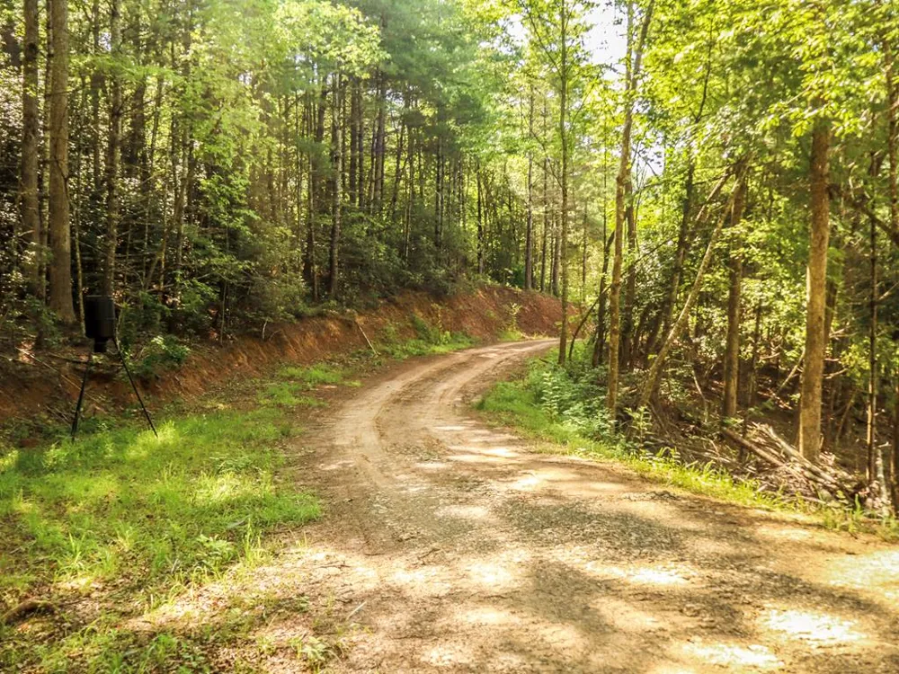 Long Branch Road Robbinsville, NC 28771