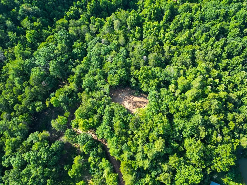 Long Branch Road Robbinsville, NC 28771
