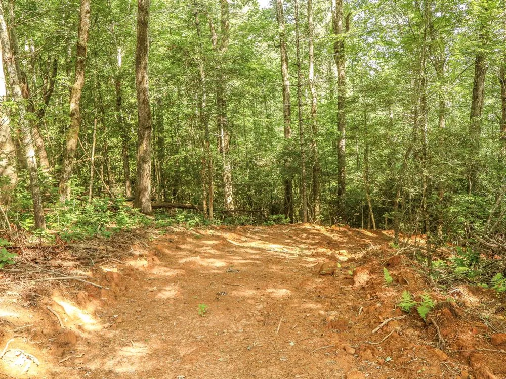 Long Branch Road Robbinsville, NC 28771