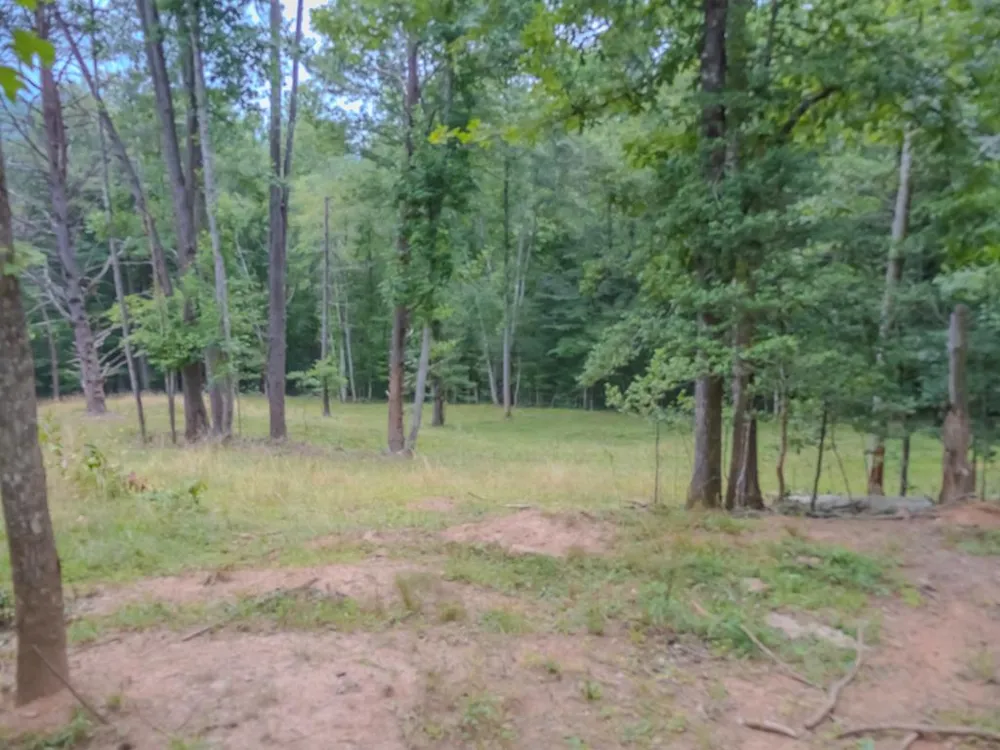 Long Branch Road Robbinsville, NC 28771