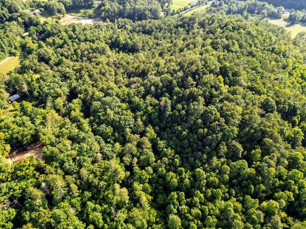 Long Branch Road Robbinsville, NC 28771