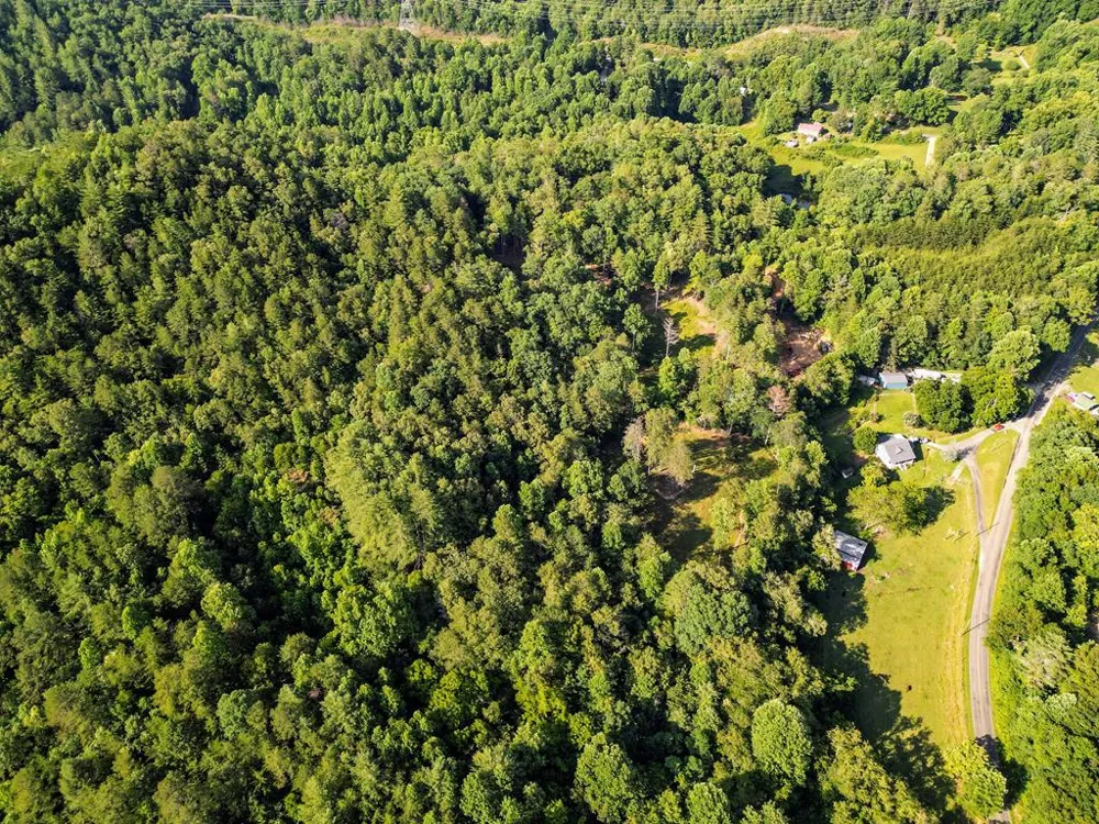 Long Branch Road Robbinsville, NC 28771