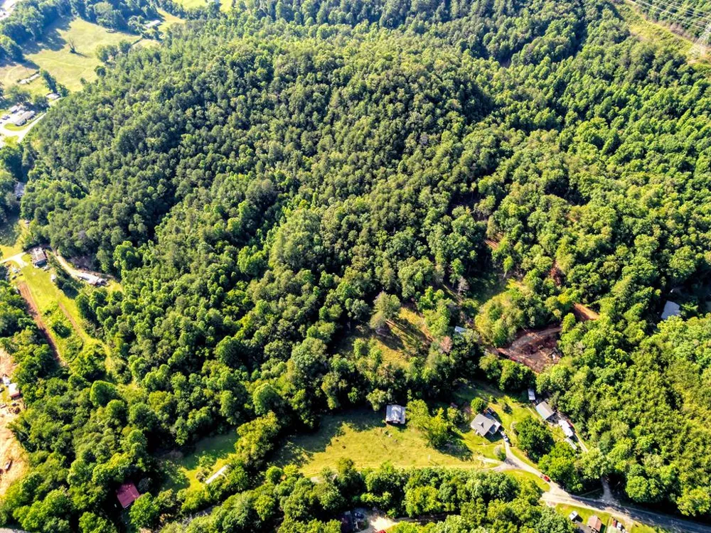 Long Branch Road Robbinsville, NC 28771