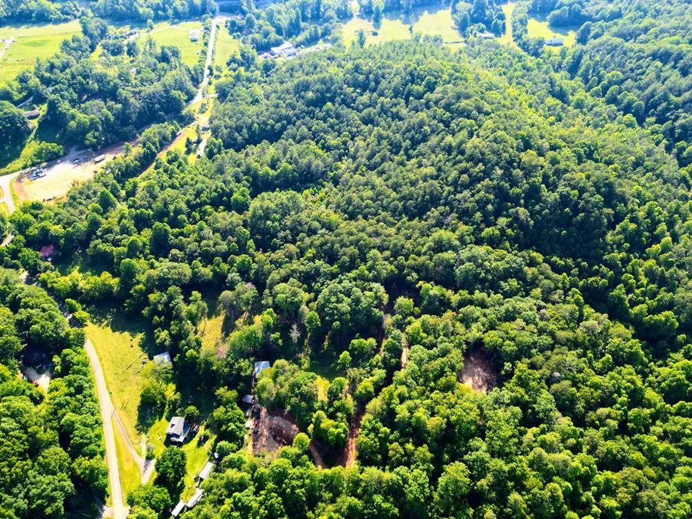 Long Branch Road Robbinsville, NC 28771