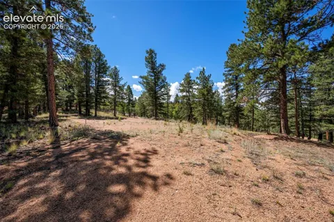 210 Donzi Trail