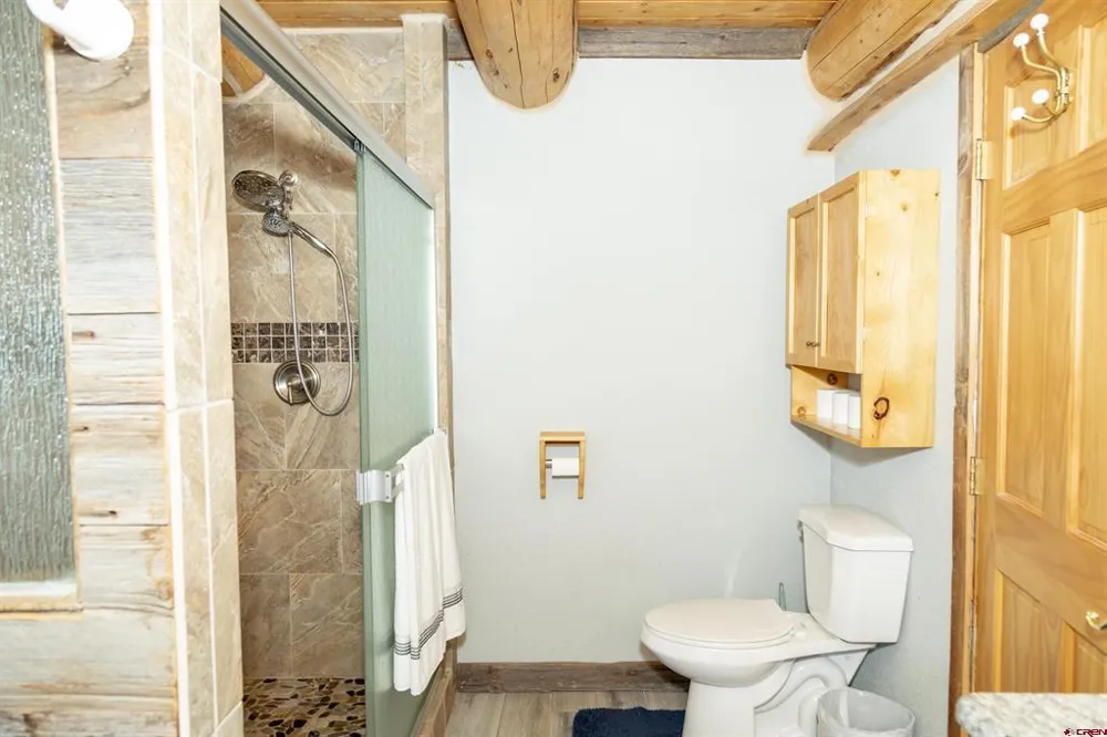 108 Forest Road Creede, CO 81130