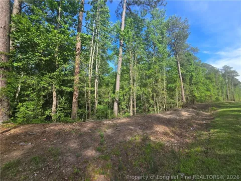 Cabins Creek Road