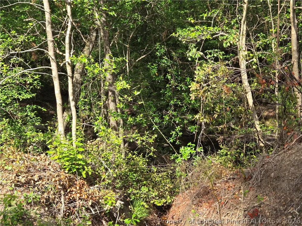 Cabins Creek Road Vass, NC 28394