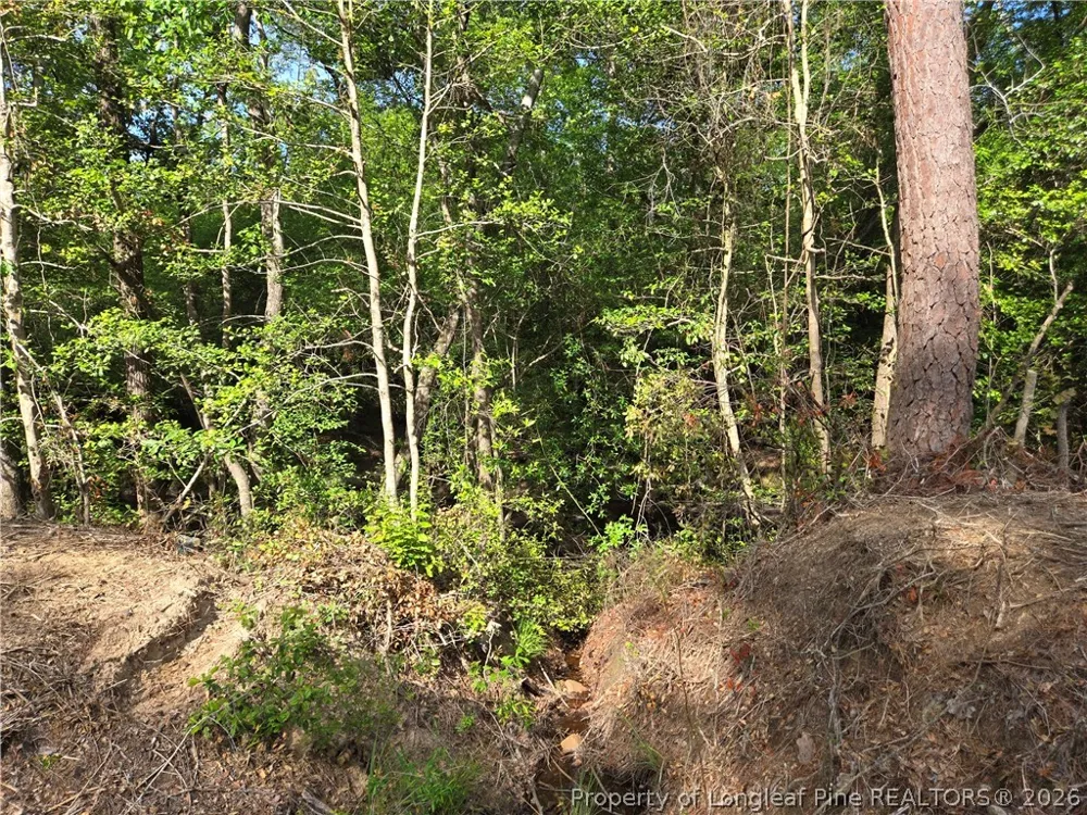 Cabins Creek Road Vass, NC 28394