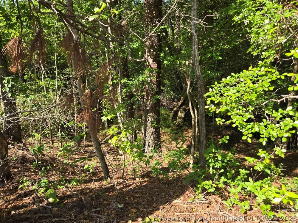 Cabins Creek Road Vass, NC 28394