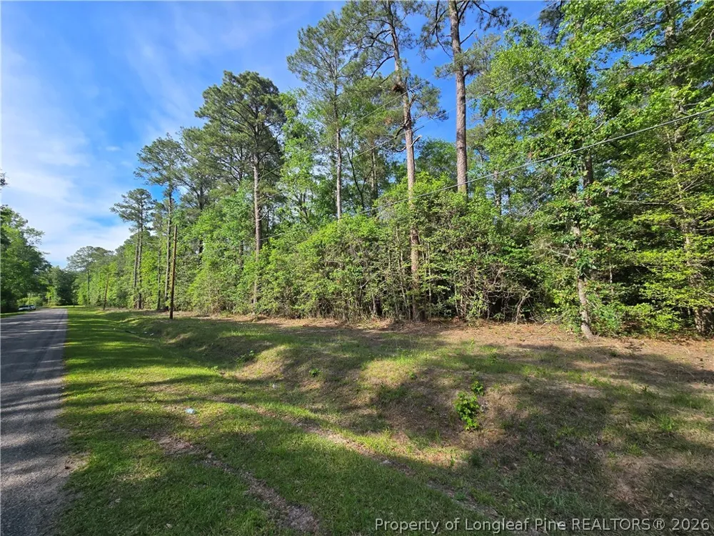 Cabins Creek Road Vass, NC 28394