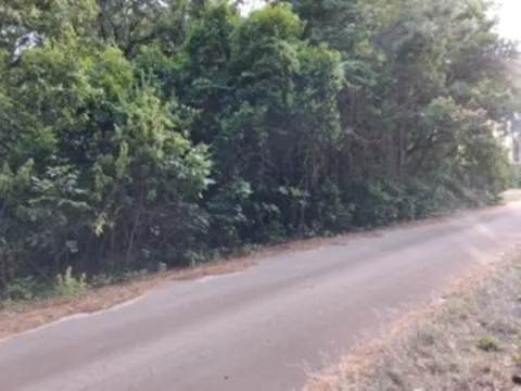 Chapparal Run