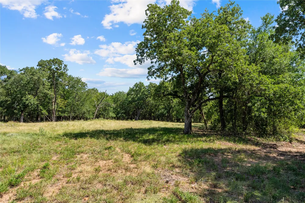 Lakewood Drive Whitney, TX 76692