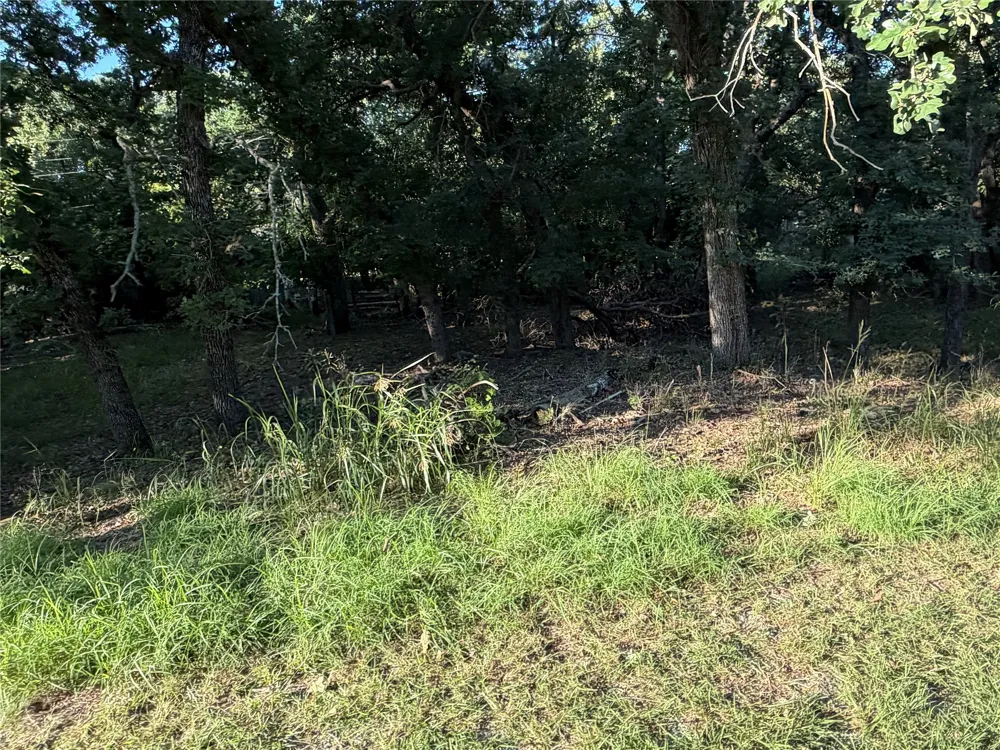 426 Woodwind Drive May, TX 76857