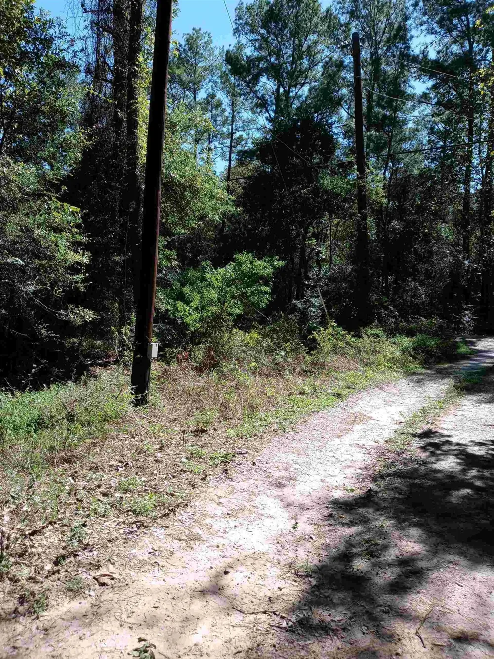 24282 Marshburn Drive Magnolia, TX 77447
