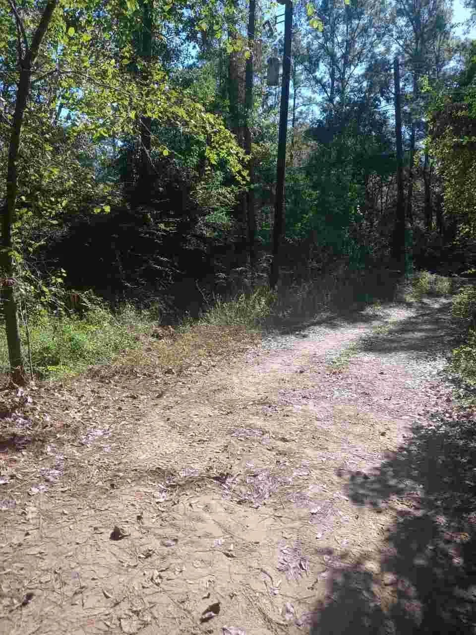 24282 Marshburn Drive Magnolia, TX 77447