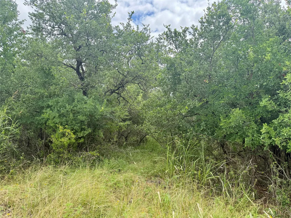 Hillcrest Drive Brownwood, TX 76801