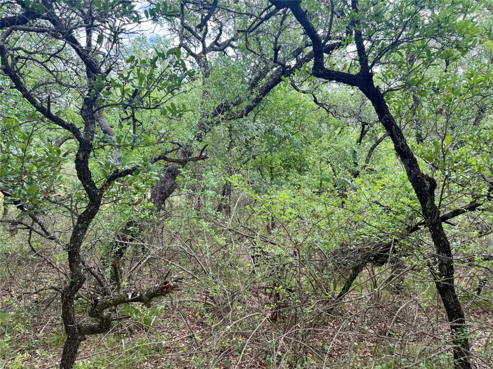 Hillcrest Drive Brownwood, TX 76801
