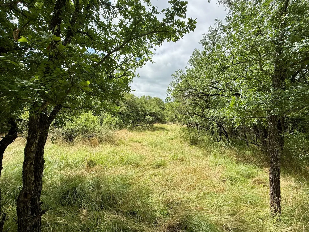 Hillcrest Drive Brownwood, TX 76801