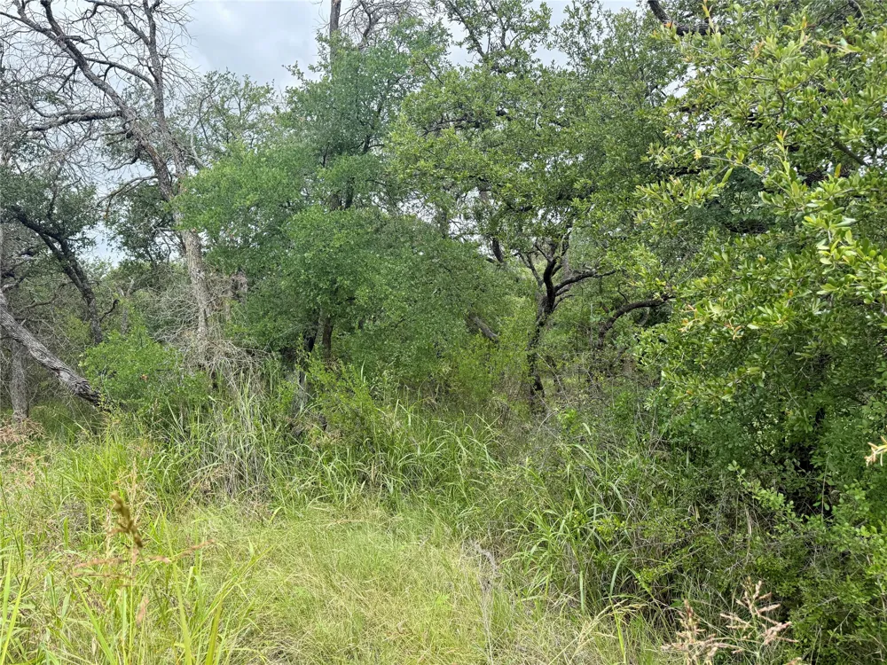 Hillcrest Drive Brownwood, TX 76801