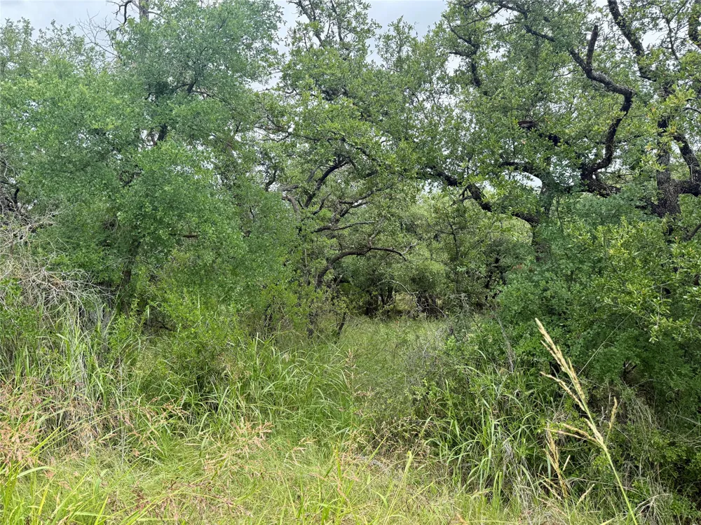 Hillcrest Drive Brownwood, TX 76801