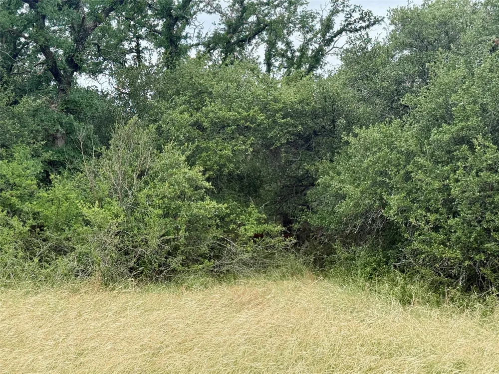 Hillcrest Drive Brownwood, TX 76801